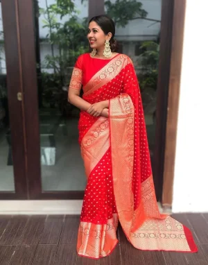 Red Banarasi Silk Saree